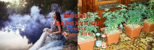 прущие крисы Абаза