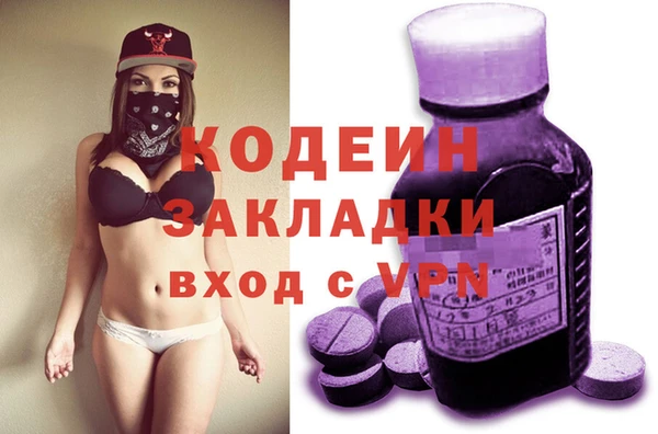 прущие грибы Алзамай
