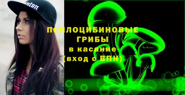 прущие крисы Абаза